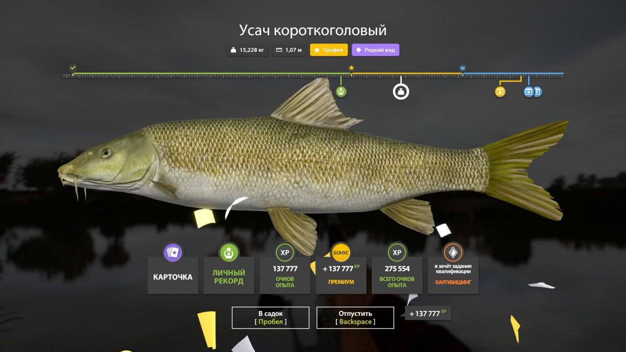 Фото точки