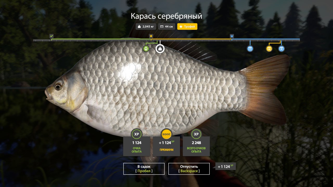 Фото точки