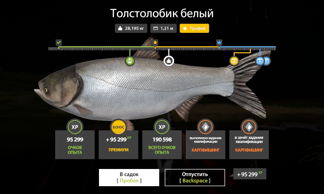 Фото точки