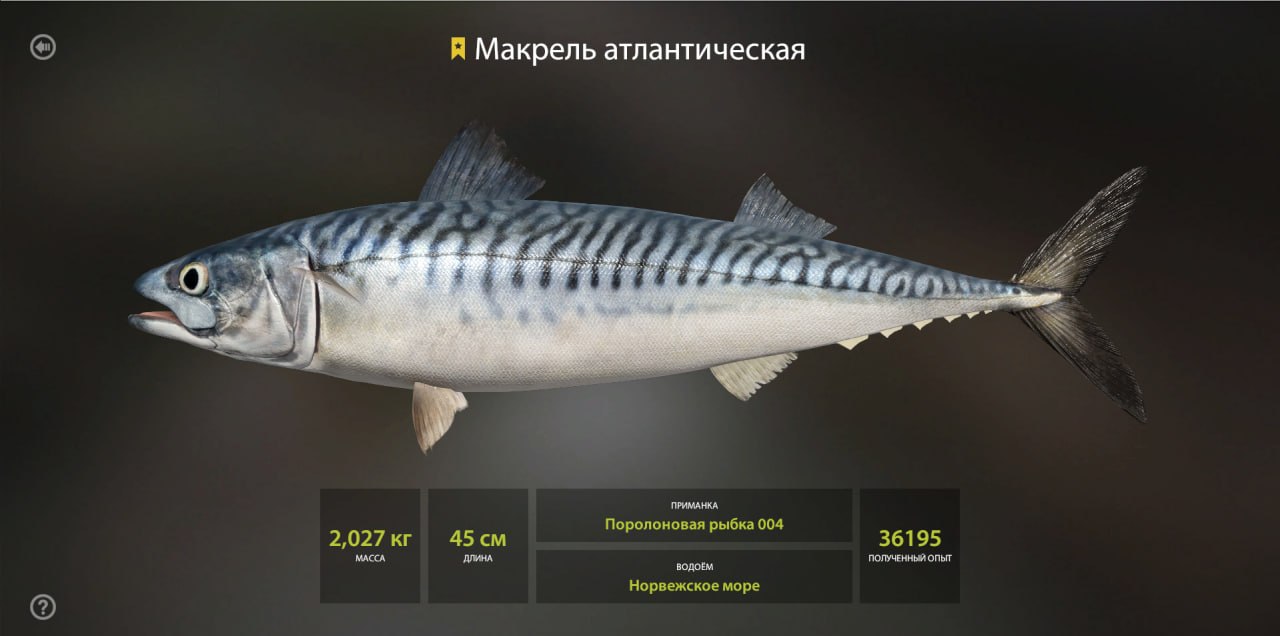 Фото точки