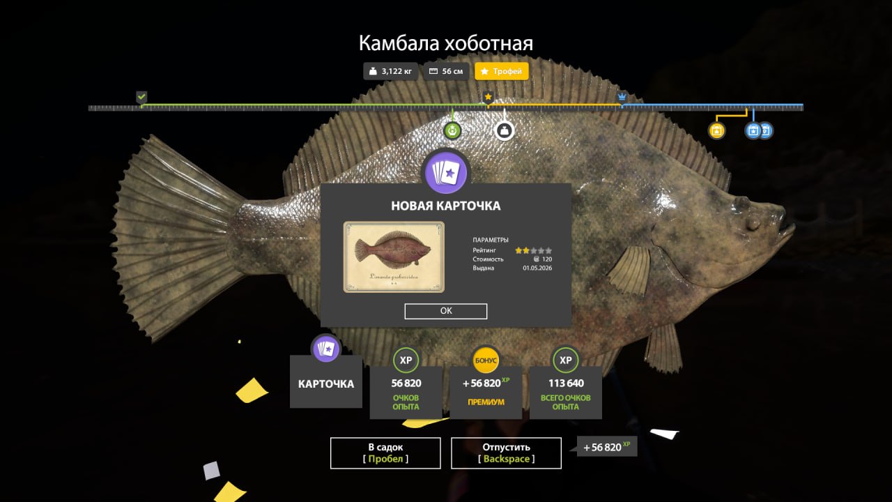 Фото точки