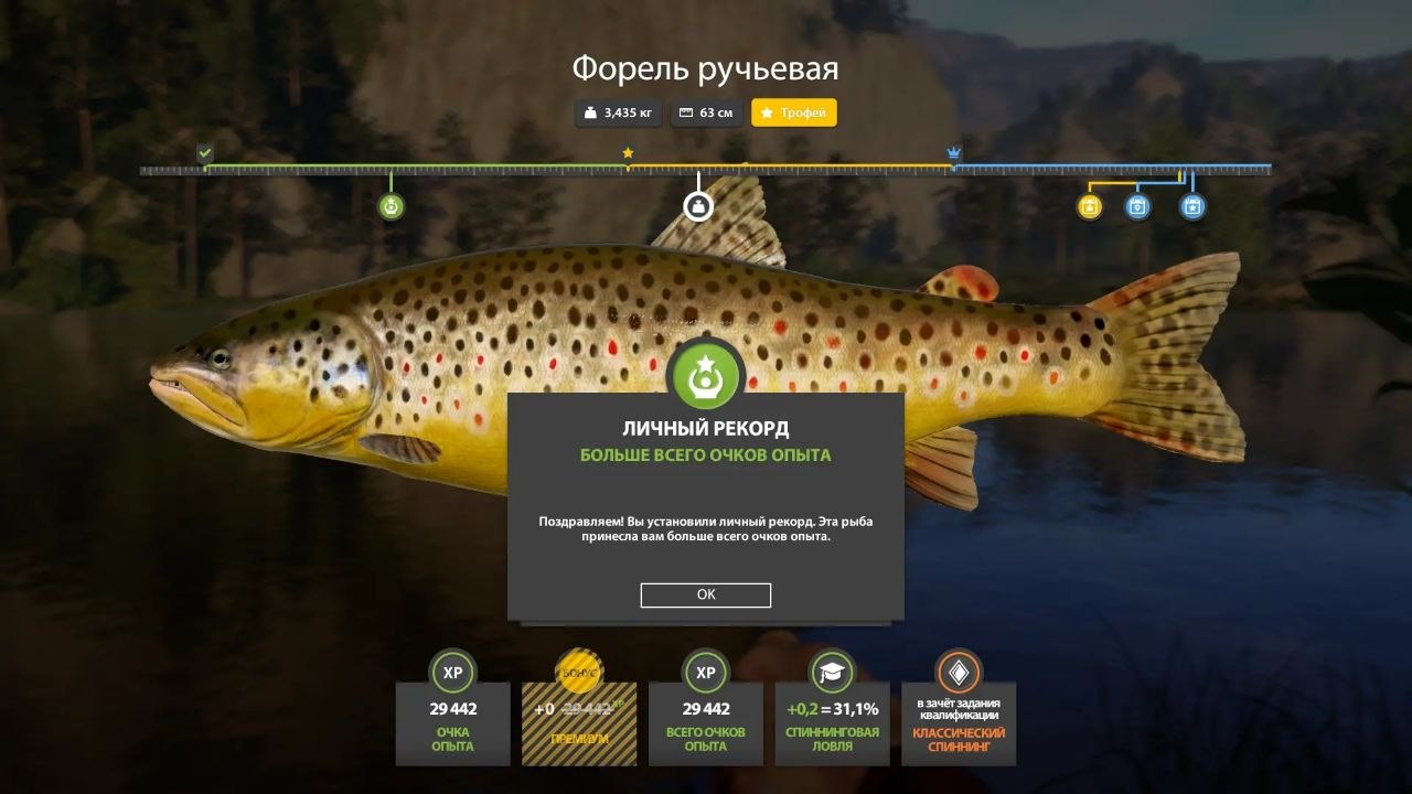 Фото точки