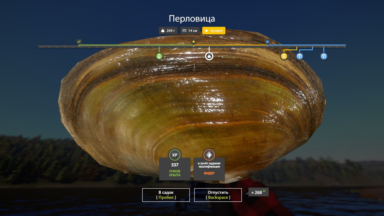 Фото точки