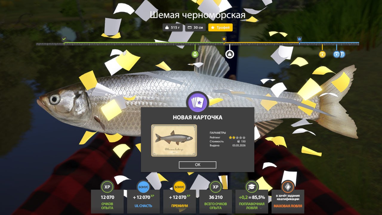Фото точки