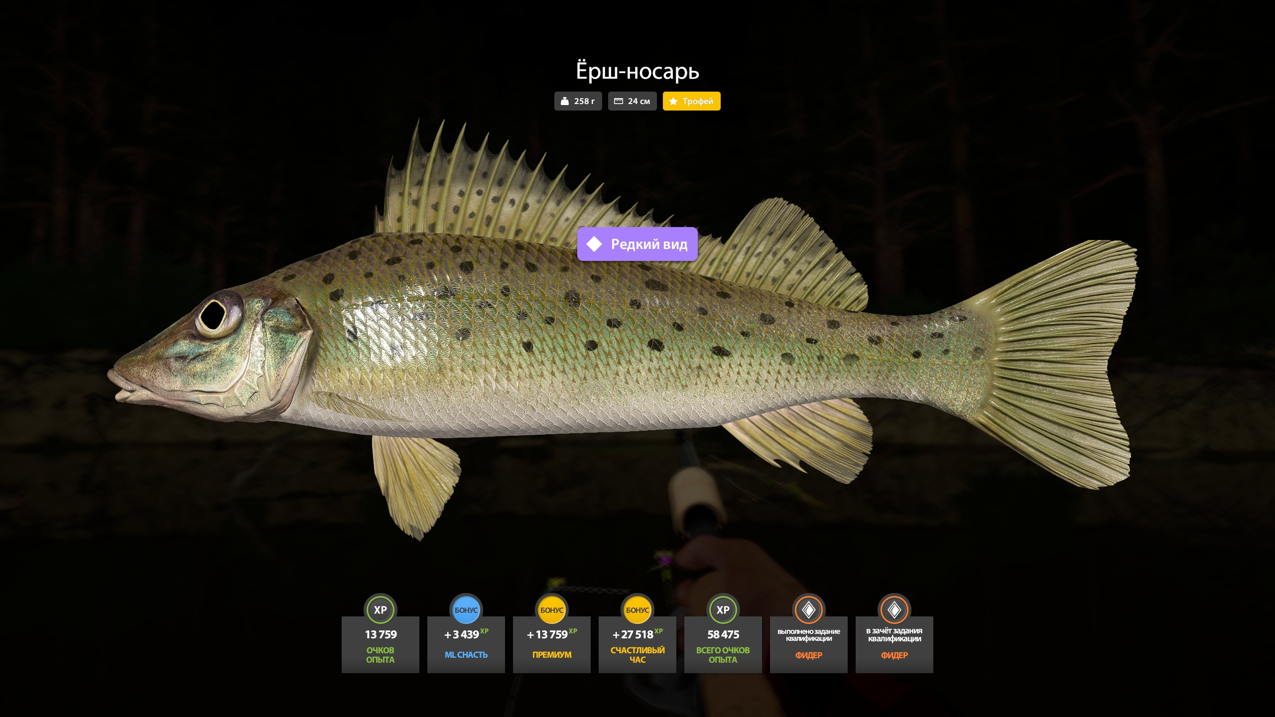 Фото точки