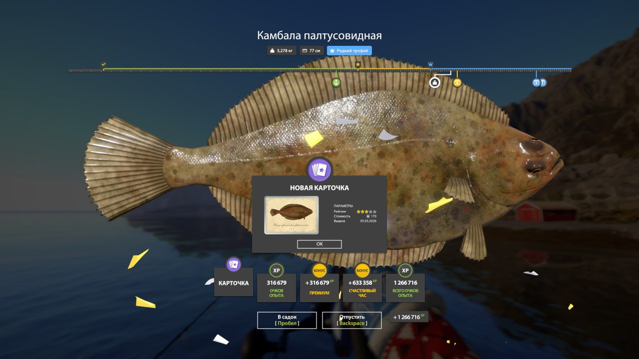 Фото точки