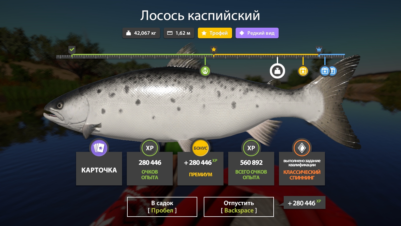 Фото точки