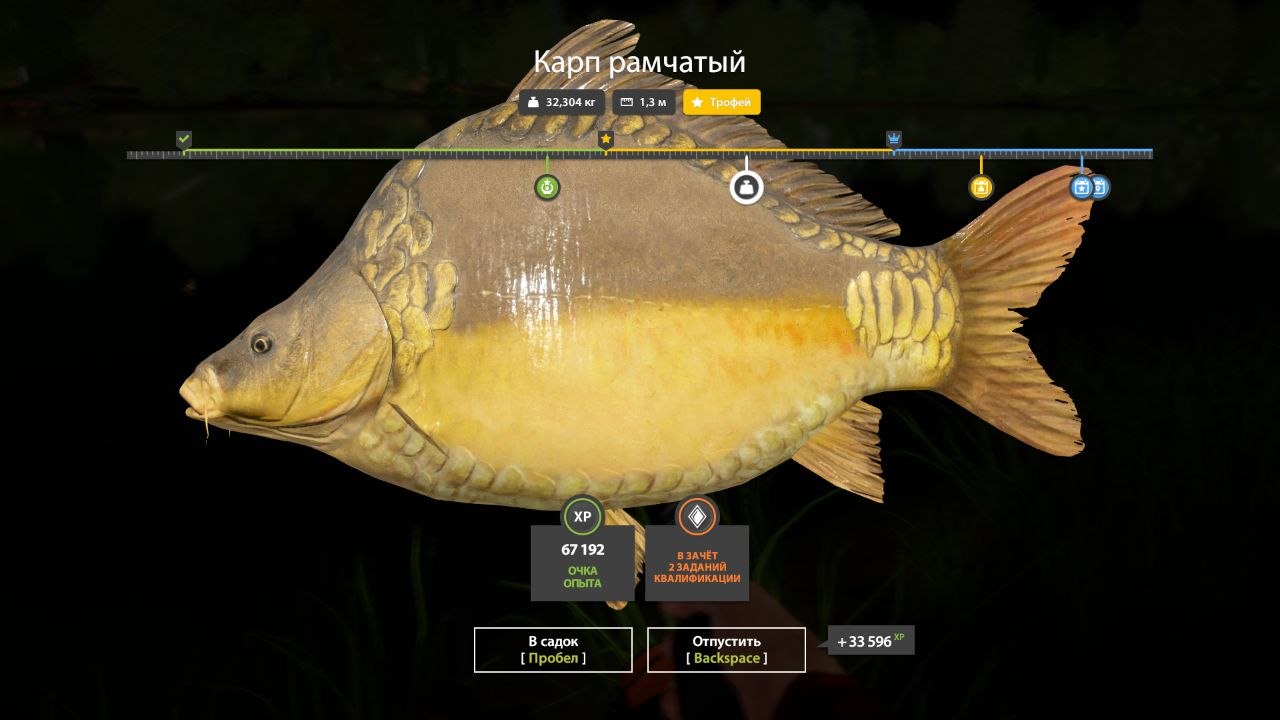 Фото точки