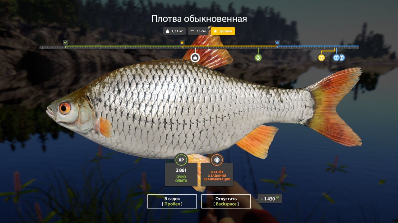 Фото точки