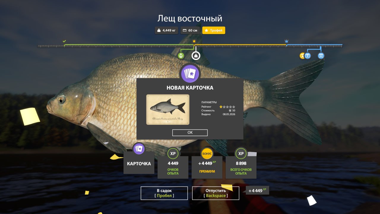 Фото точки