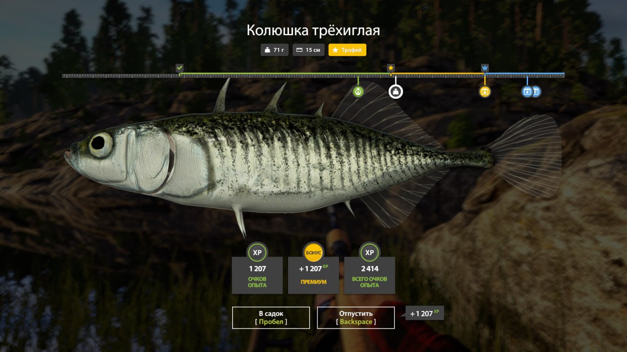 Фото точки