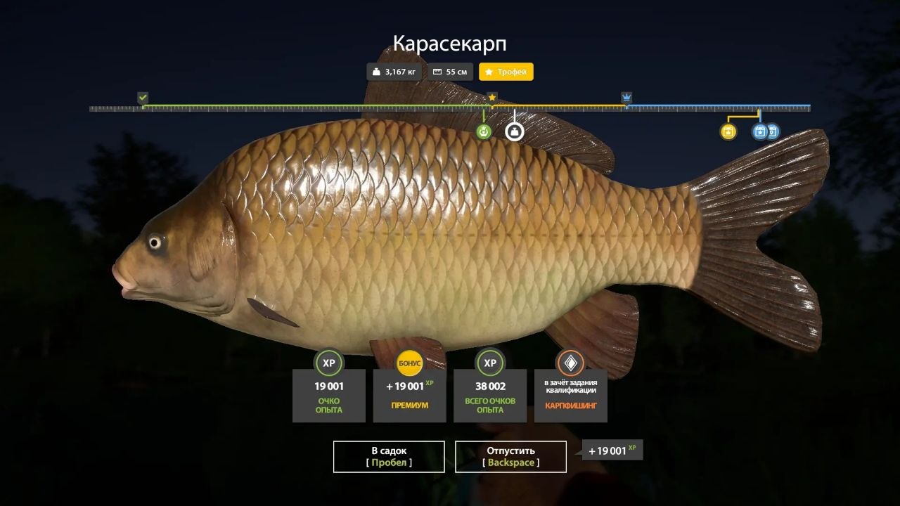 Фото точки