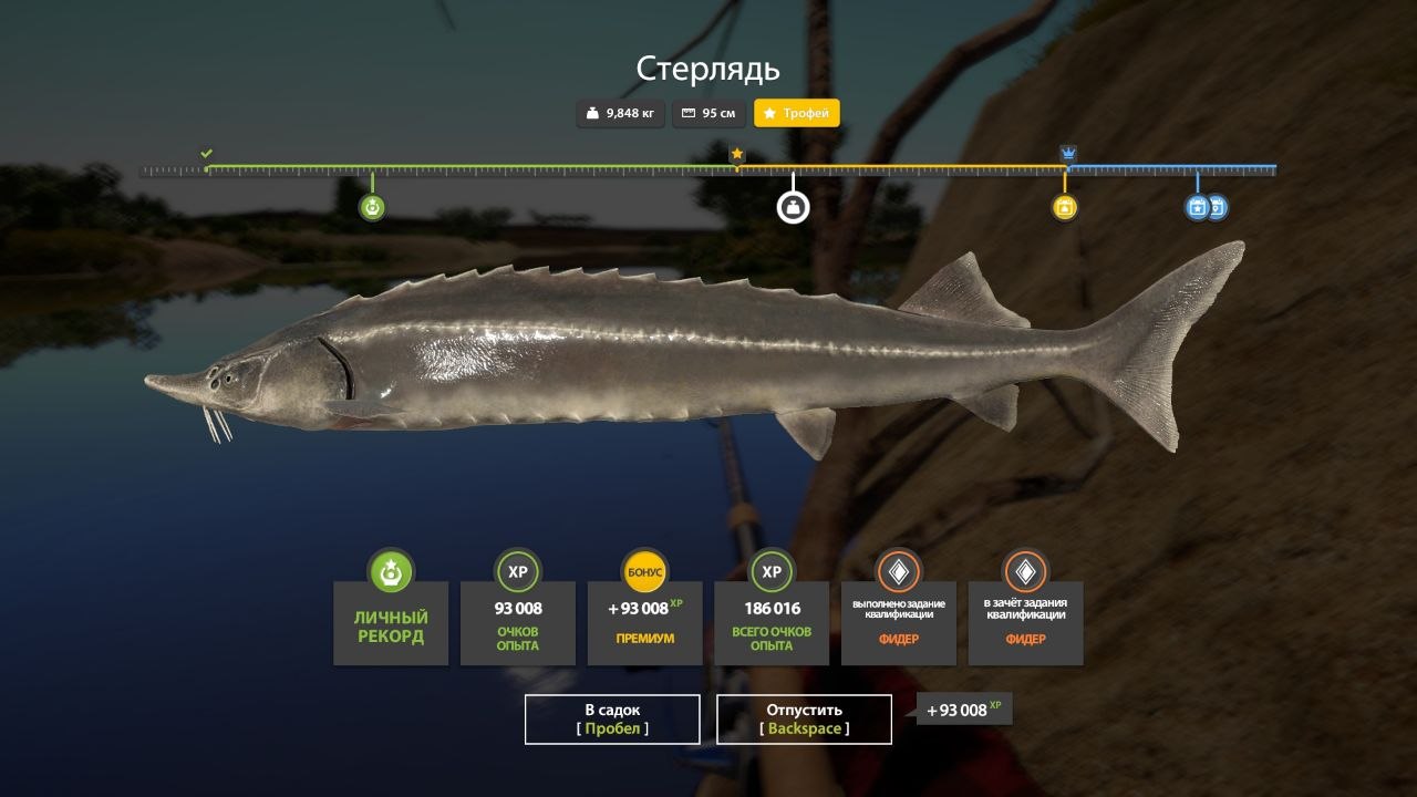 Фото точки