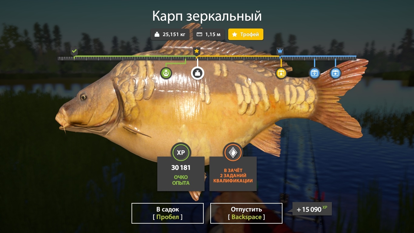 Фото точки