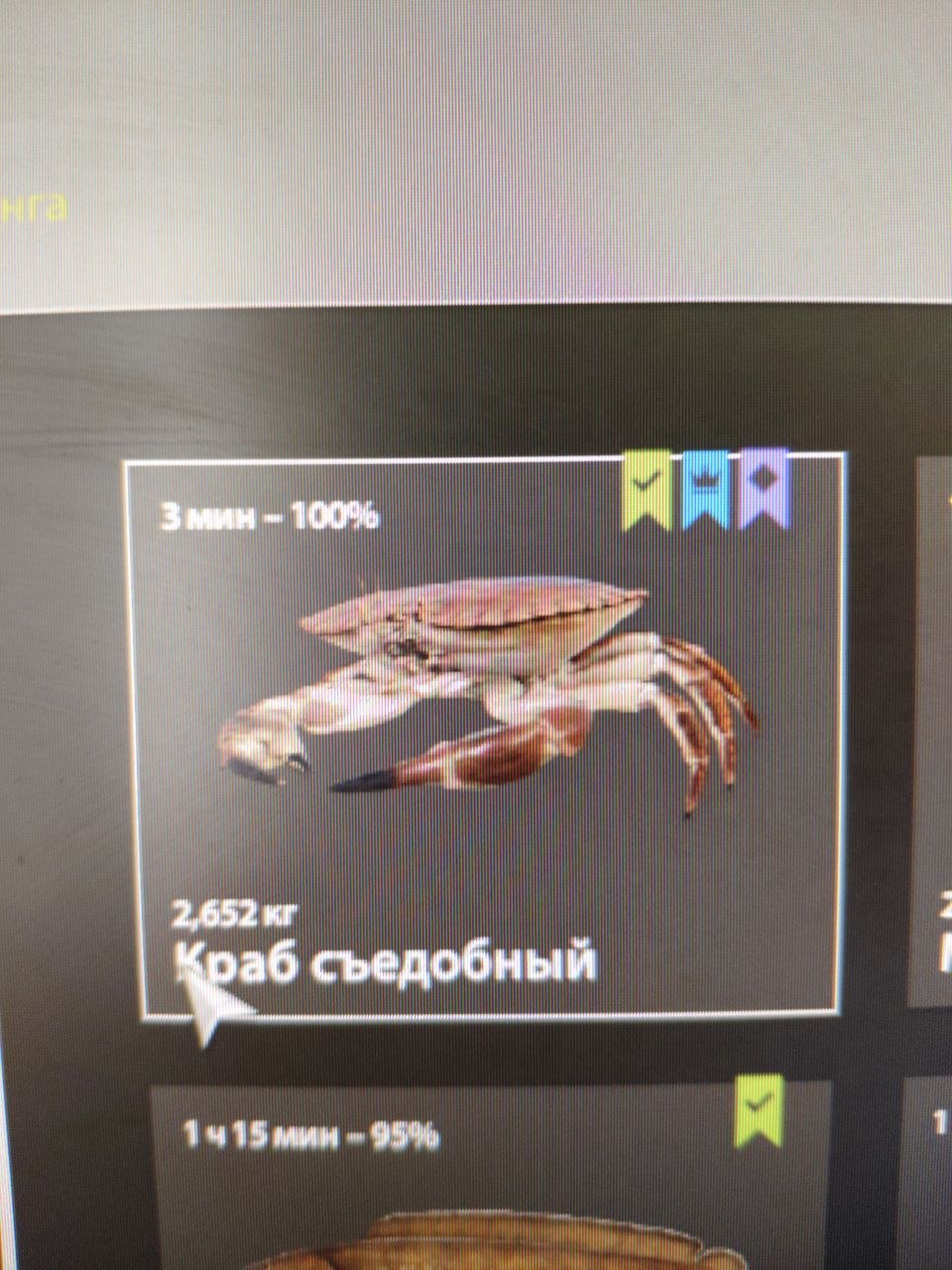 Фото точки