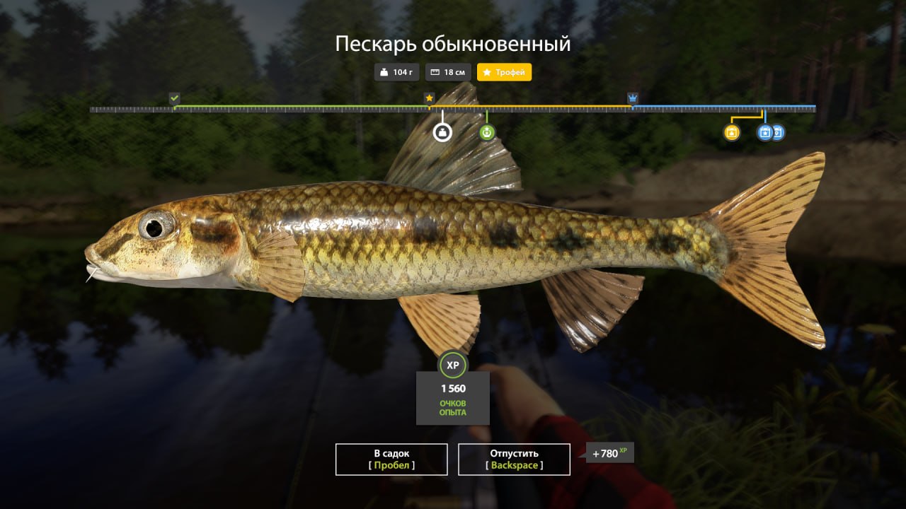 Фото точки