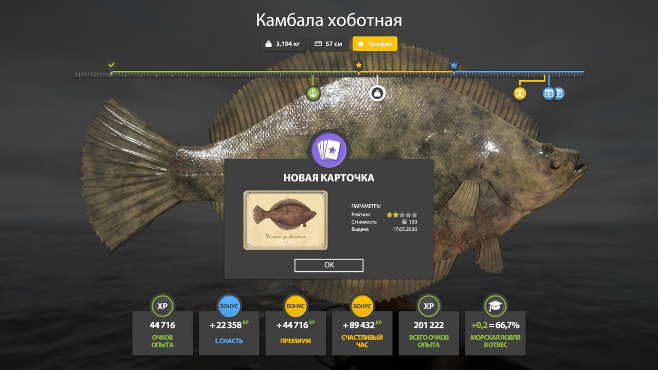 Фото точки