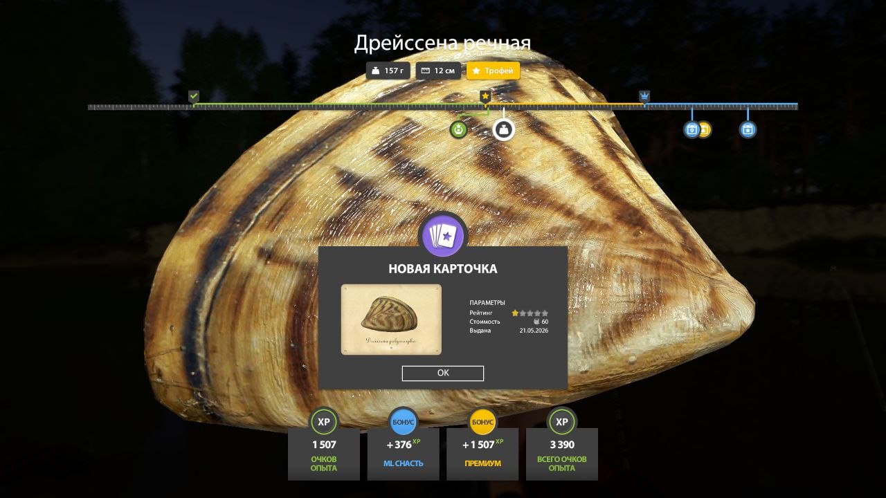 Фото точки