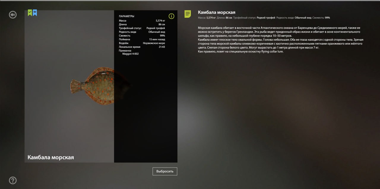 Улов (Камбала морская) на #трофей_rf4map в RF4