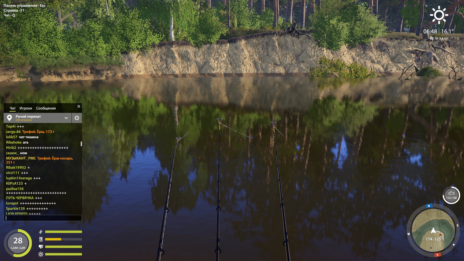 Улов (Ёрш-носарь) на #трофей_rf4map в RF4