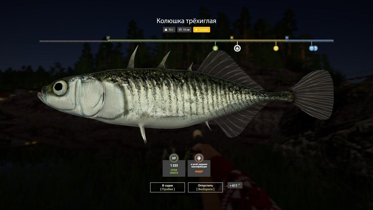 Улов (Колюшка трёхиглая) на #трофей_rf4map в RF4