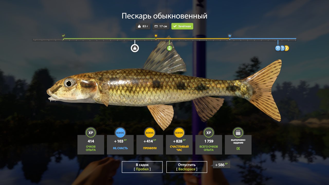 Улов (Пескарь обыкновенный) на #задания_rf4map в RF4