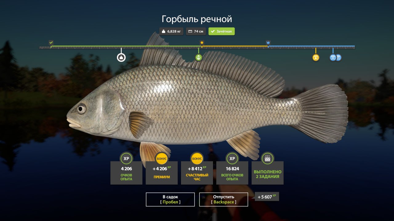 Улов (Горбыль речной) на #задания_rf4map в RF4