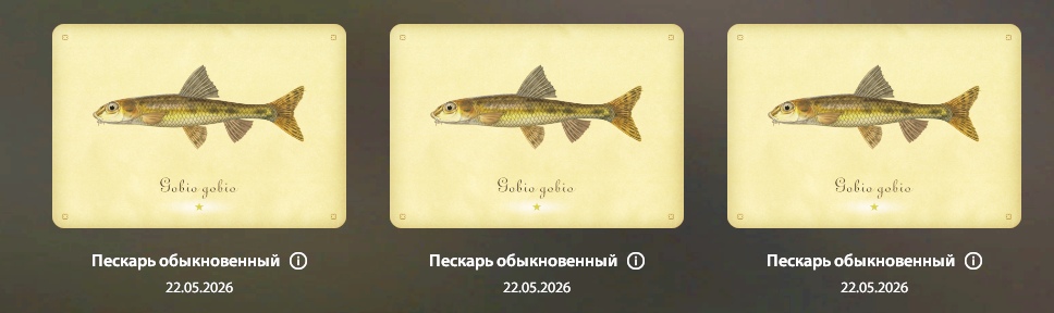 Улов (Пескарь, Елец) на #трофей_rf4map в RF4