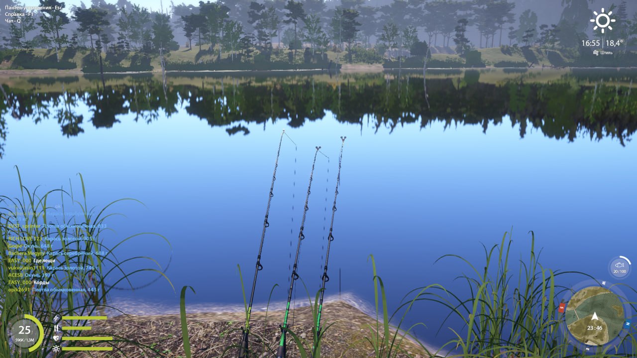 Улов (Лещ) на #трофей_rf4map в RF4