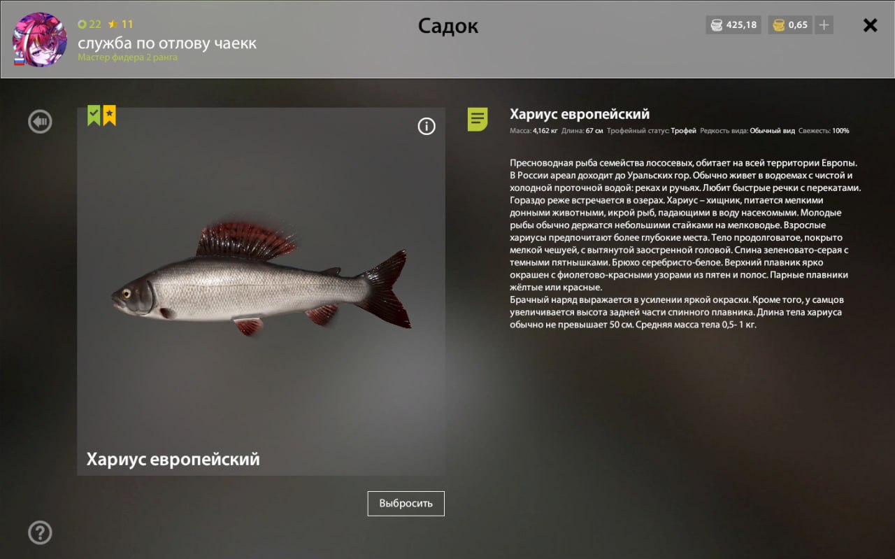 Улов (Хариус европейский) на #трофей_rf4map в RF4