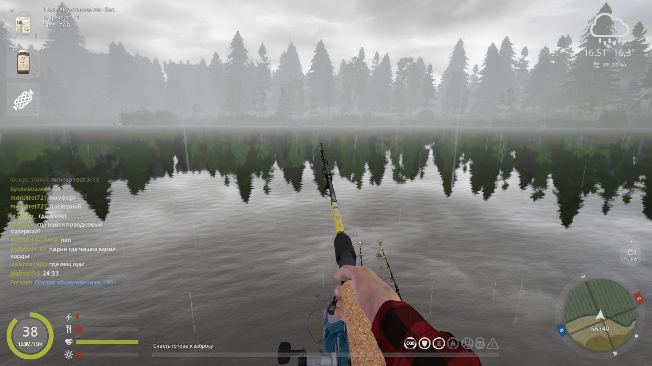Улов (Карп чешуйчатый) на #задания_rf4map в RF4