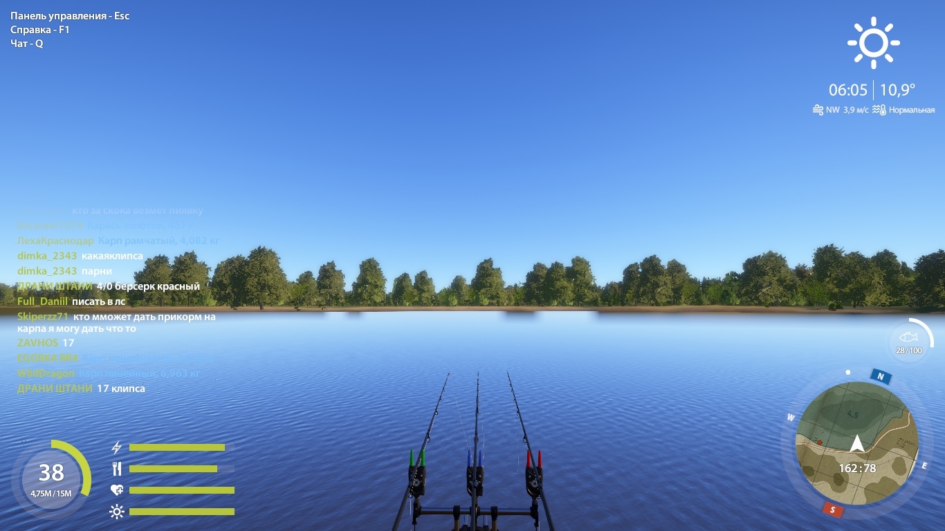 Улов (карп рамчатый, карп чешуйчатый) на #трофей_rf4map в RF4