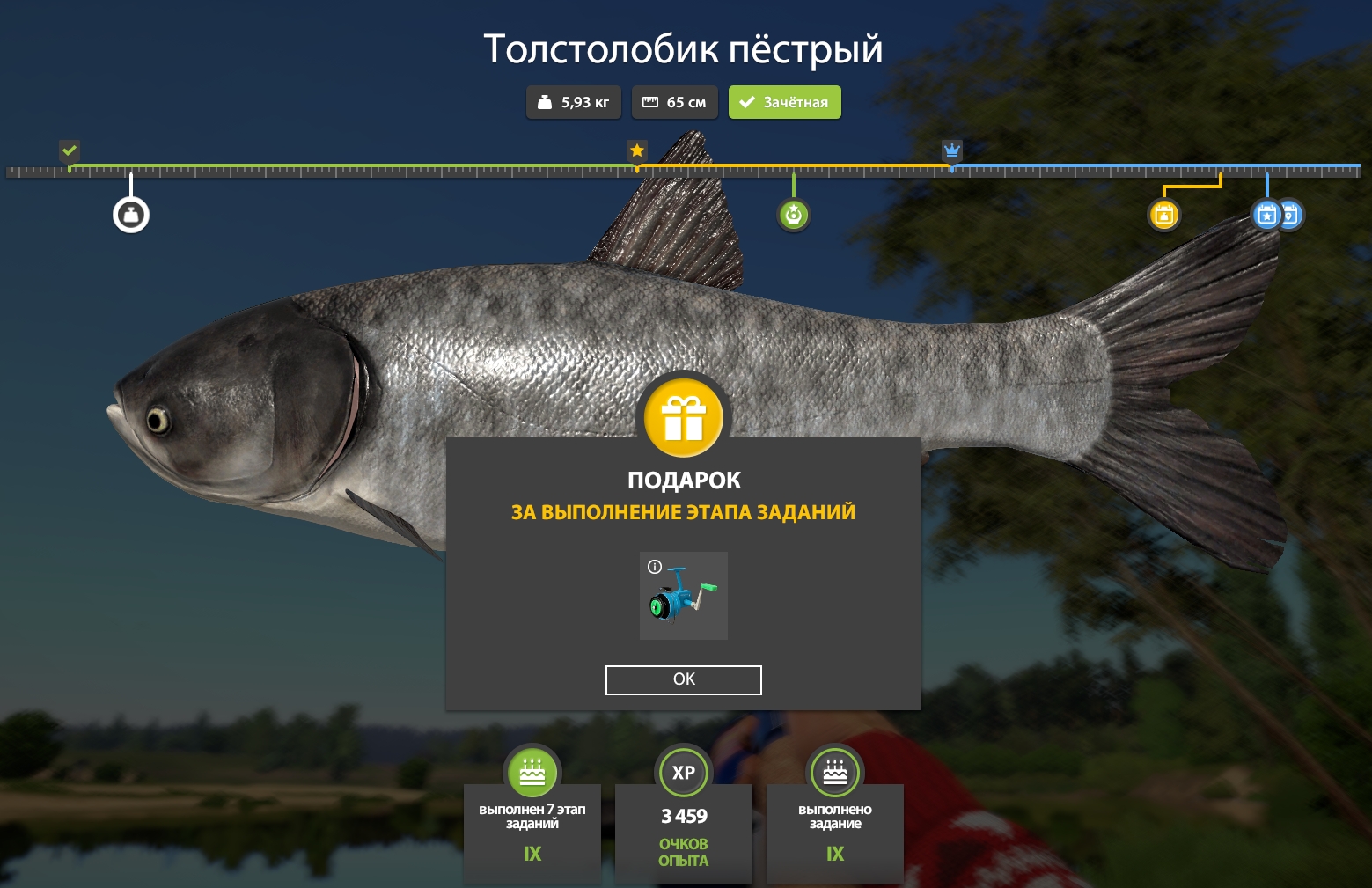 Фото точки