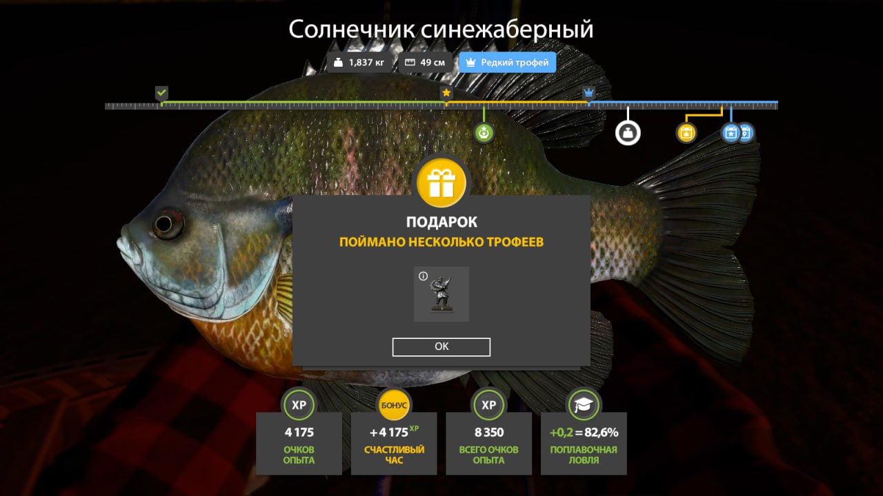 Фото точки