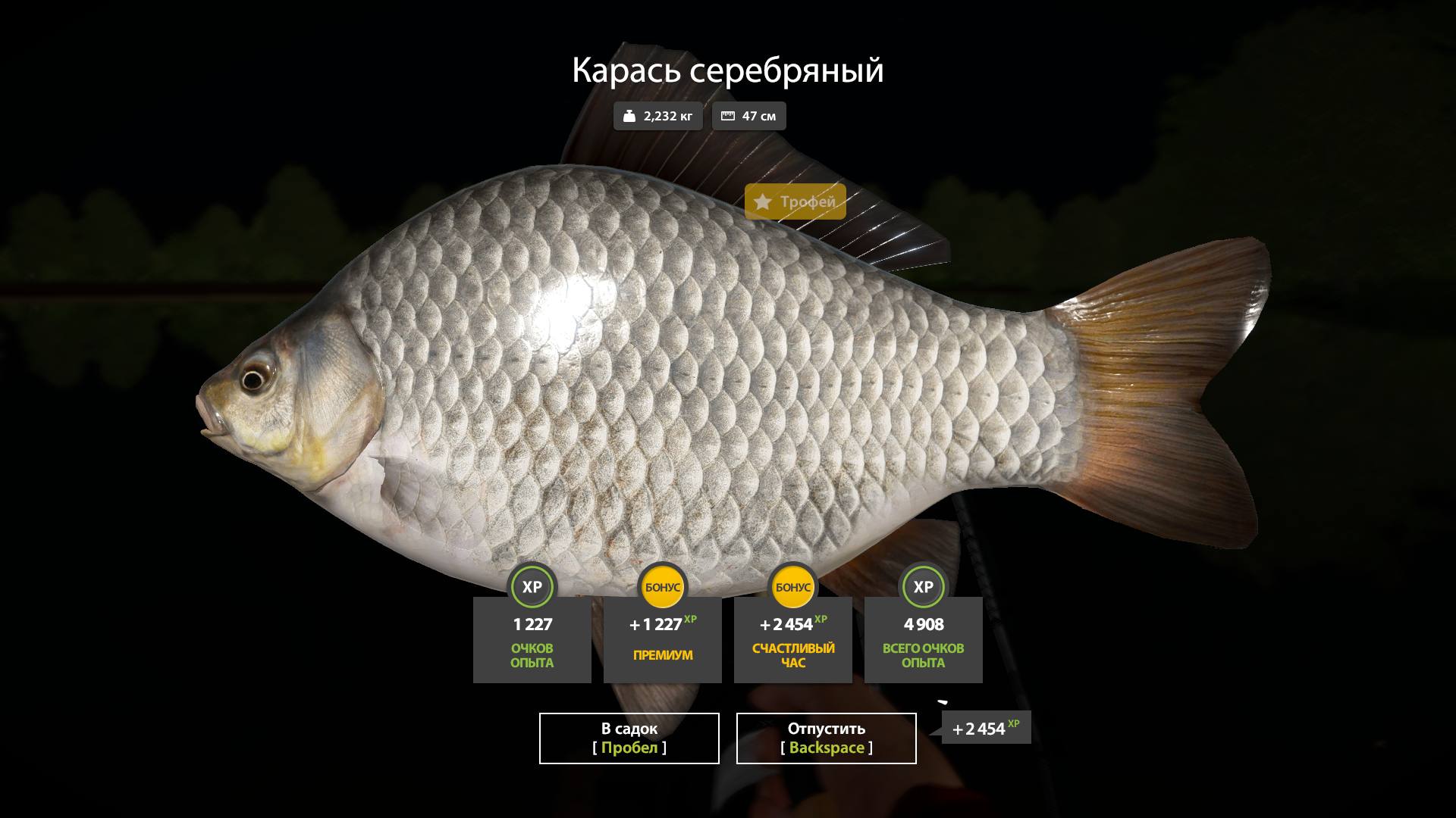 Фото точки