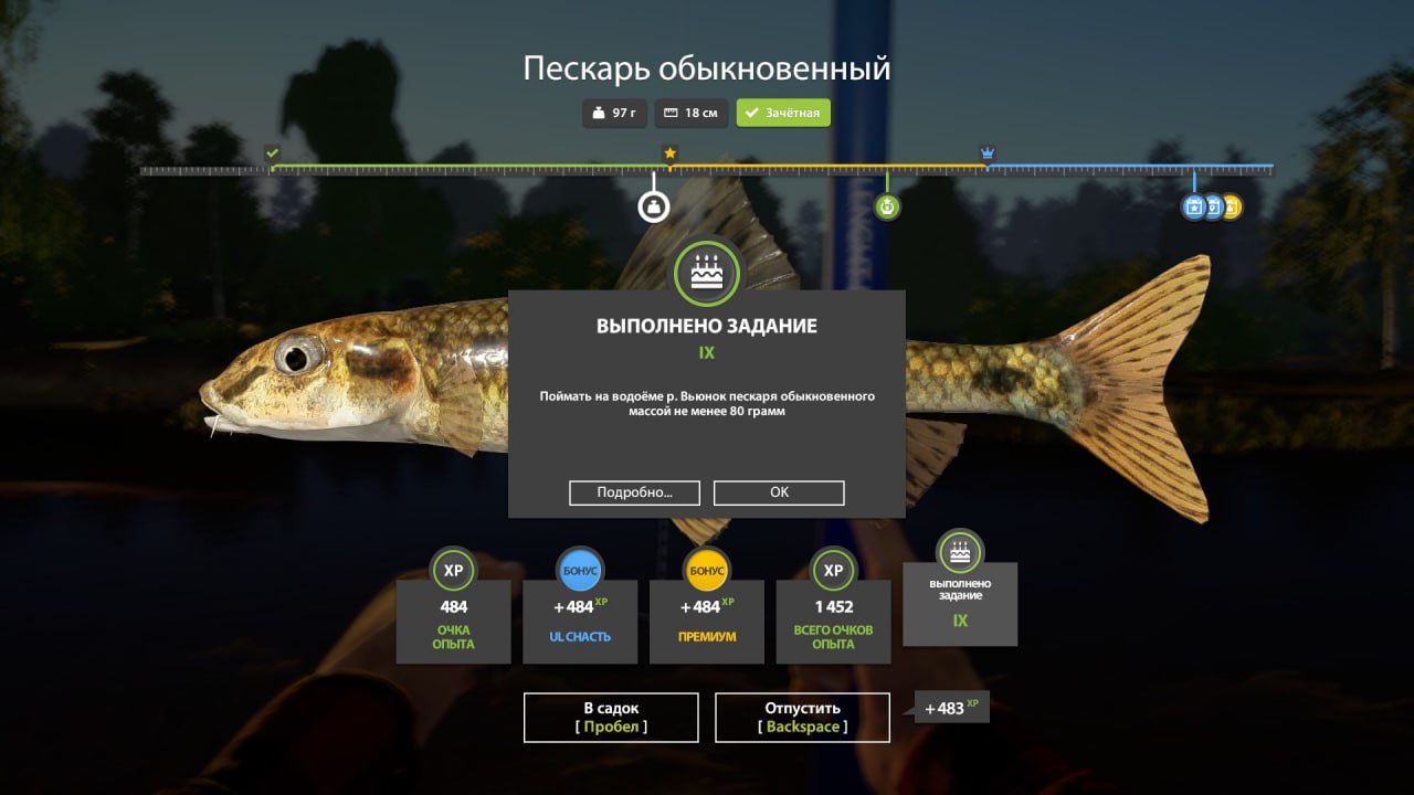Фото точки