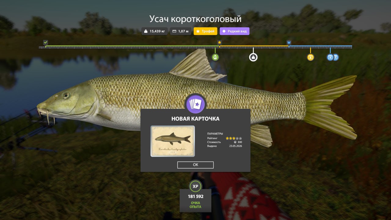 Фото точки