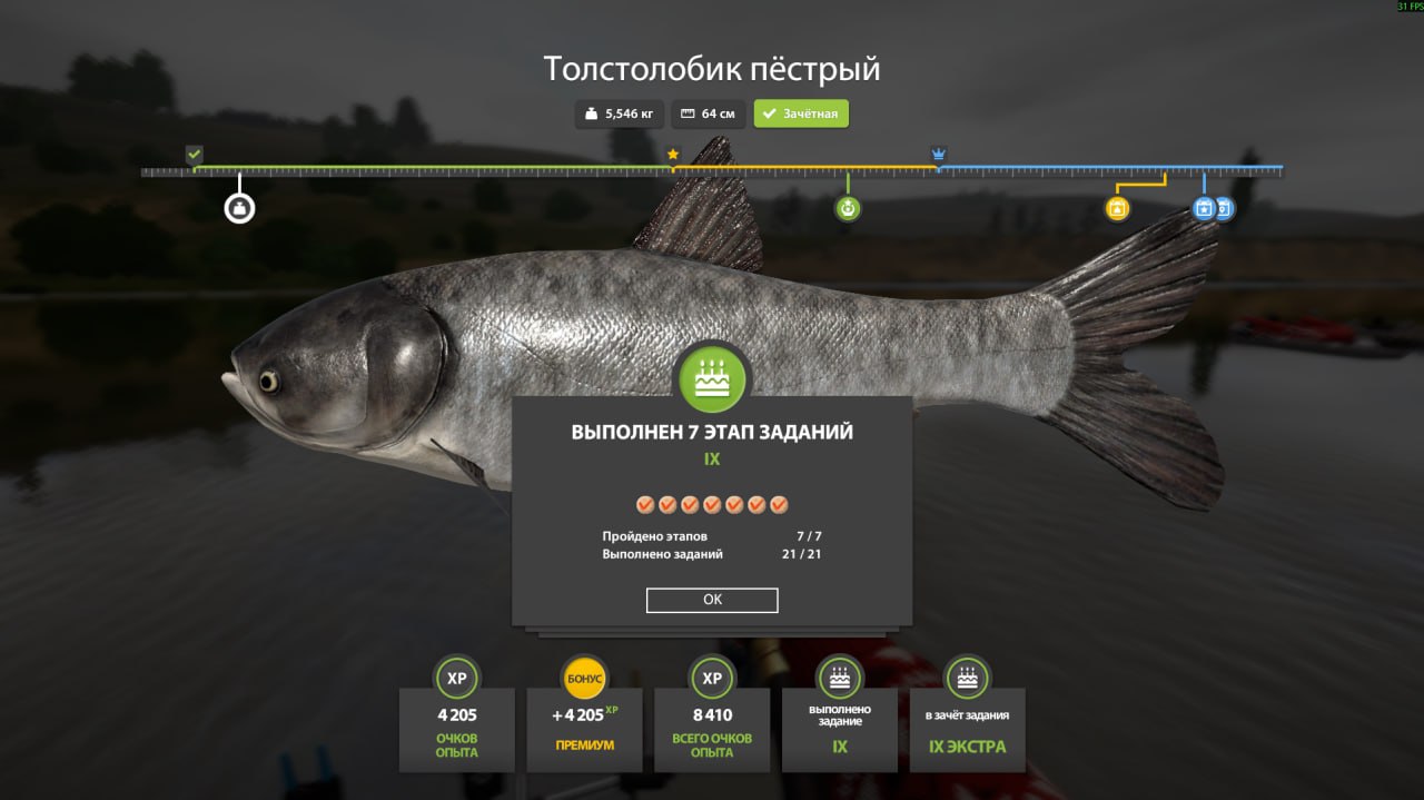 Фото точки
