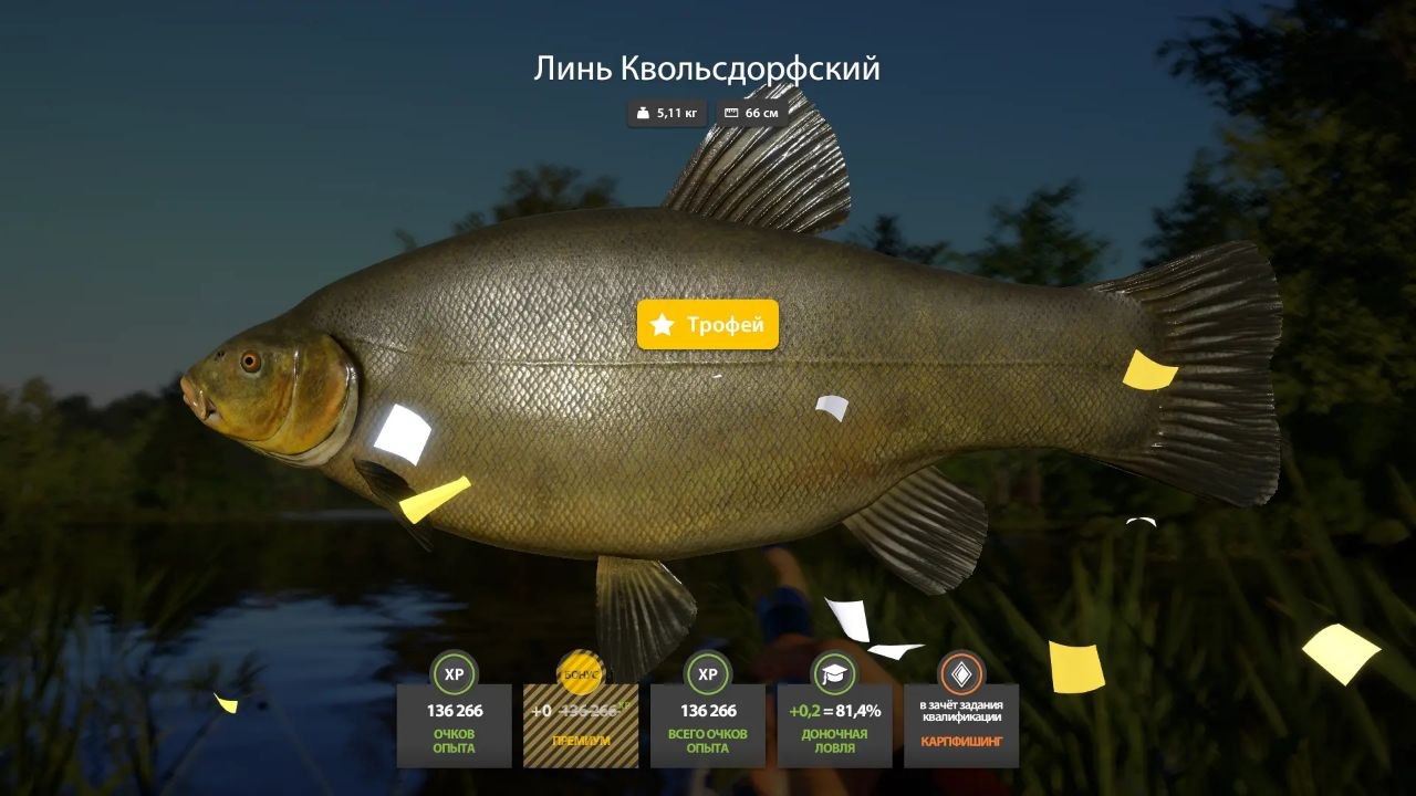 Улов (Линь Квольсдорфский) на #трофей_rf4map в RF4