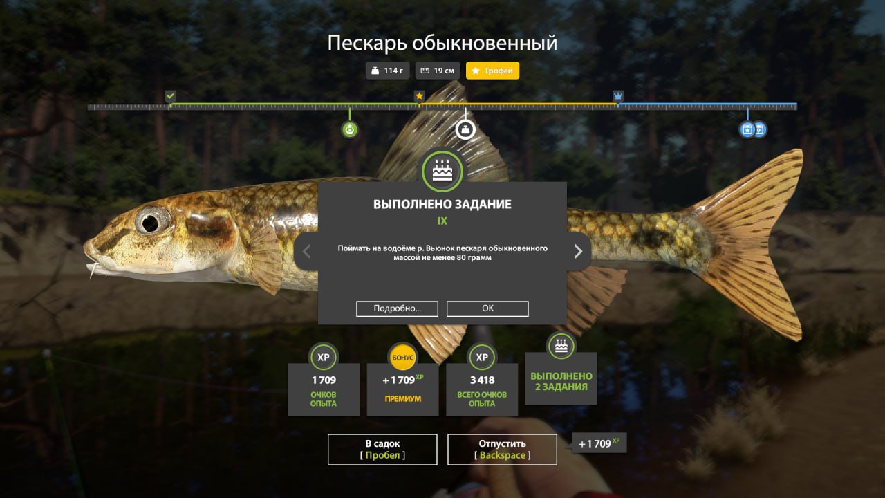 Фото точки