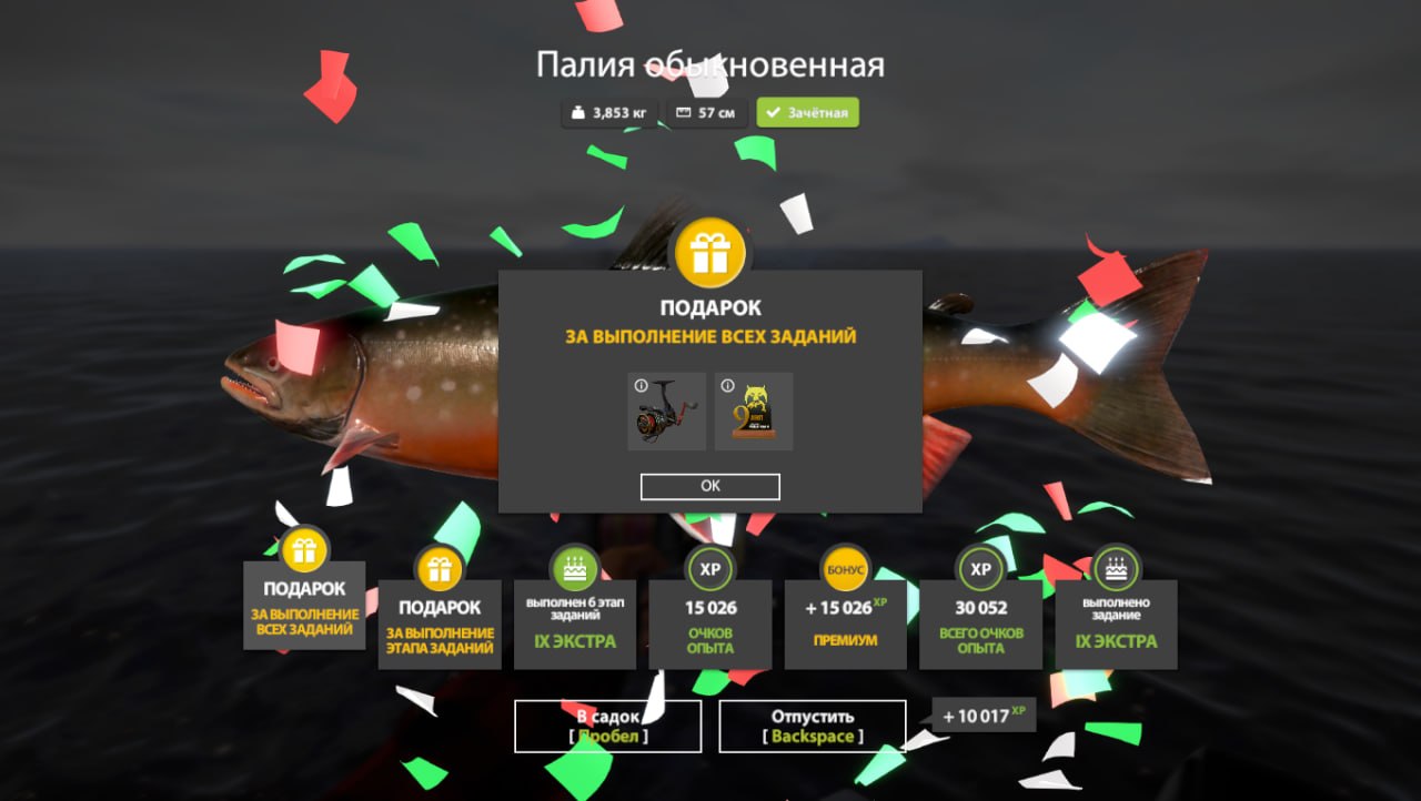 Фото точки