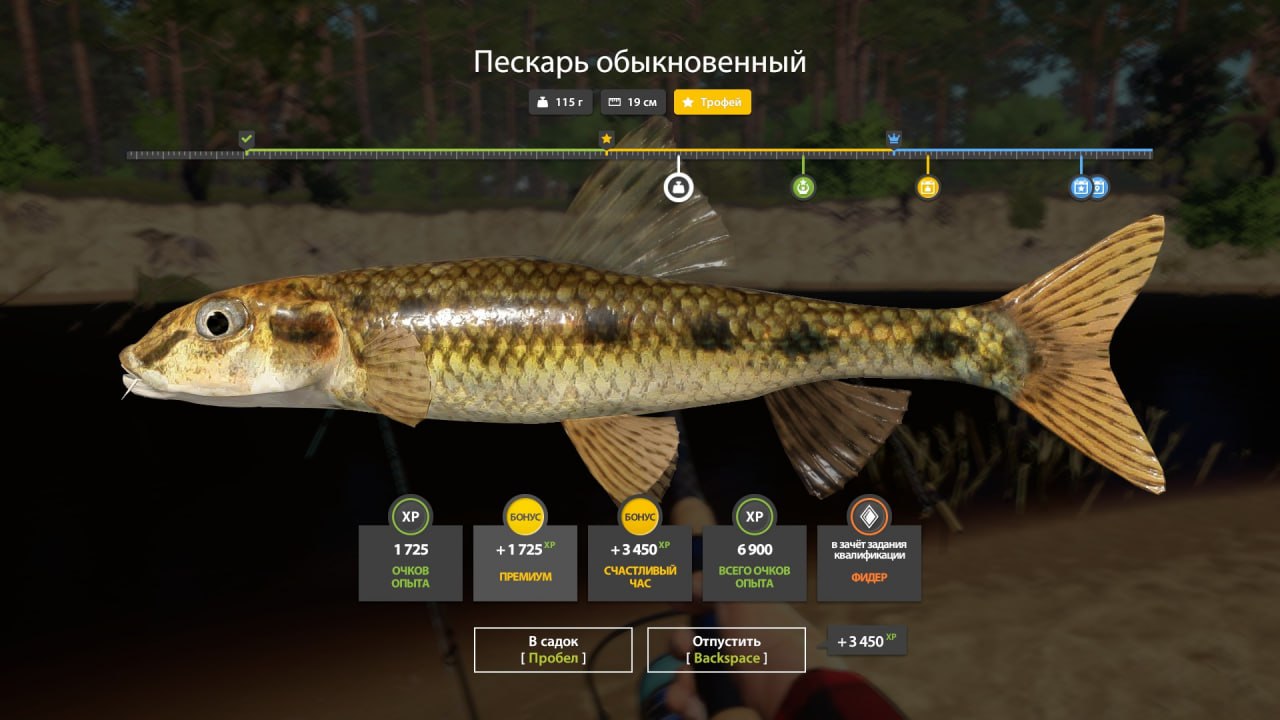 Фото точки