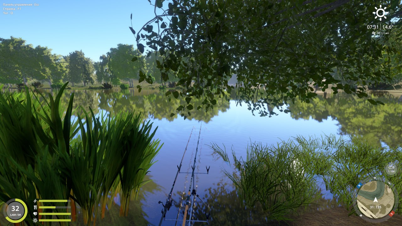 Улов (Сазан) на #задания_rf4map в RF4