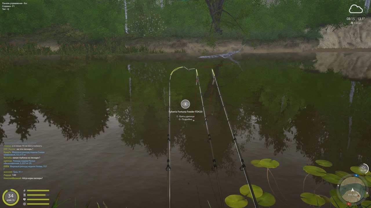 Улов (Ёрш-носарь) на #трофей_rf4map в RF4