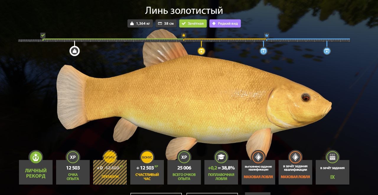 Улов (Голавль, Линь золотистый, Ротан) на #комариное_rf4map в RF4