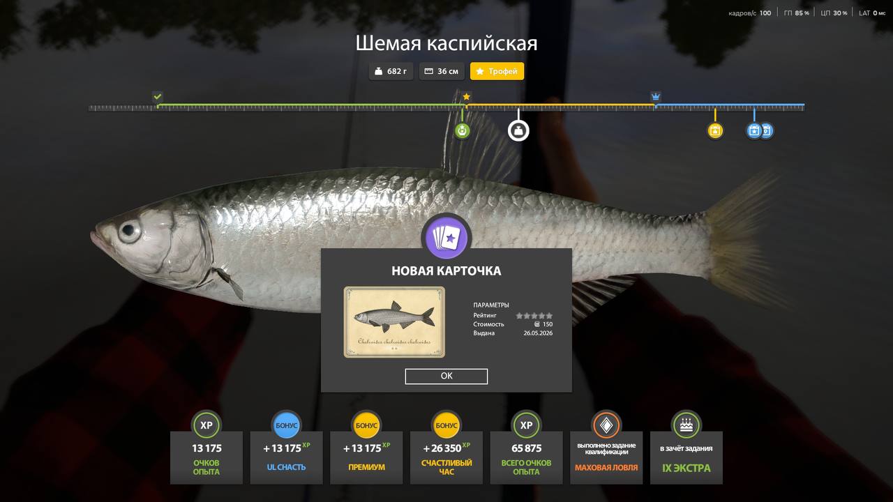 Улов (Шемая каспийская) на #трофей_rf4map в RF4