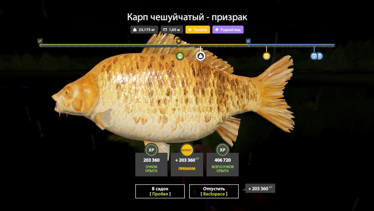 Фото точки