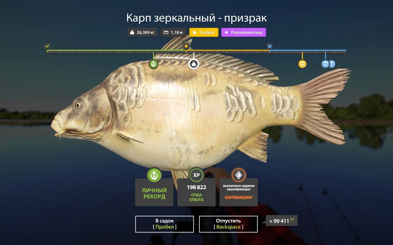 Фото точки