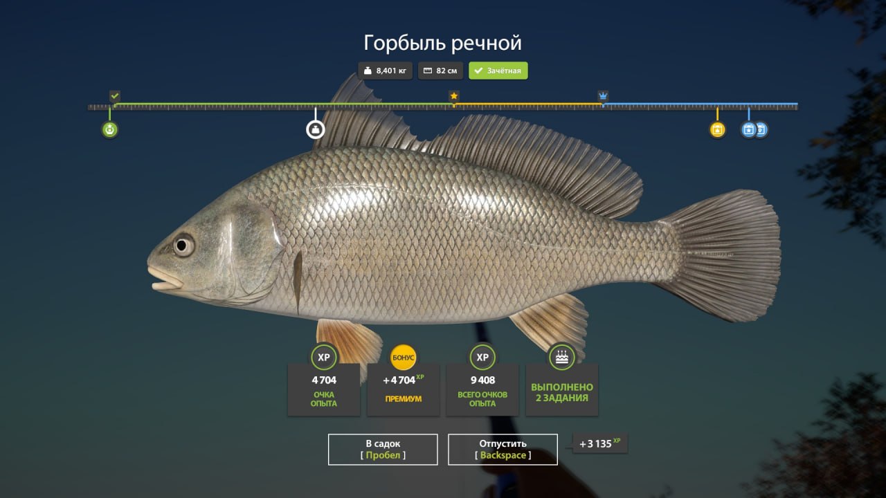 Фото точки