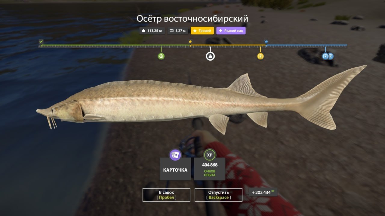 Фото точки